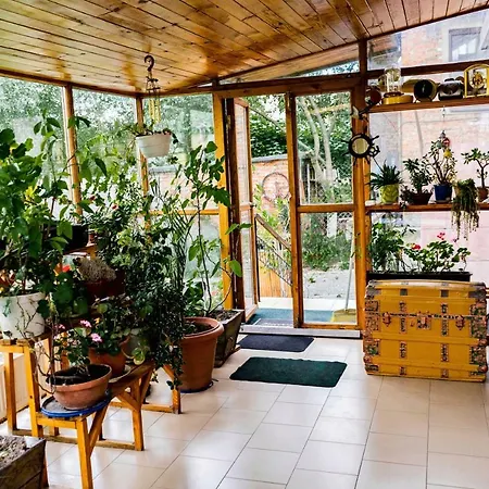 罗马别墅旅馆 * 利沃夫